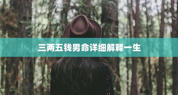 三两五钱男命详细解释一生