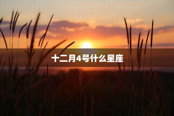 十二月4号什么星座