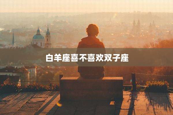 白羊座喜不喜欢双子座