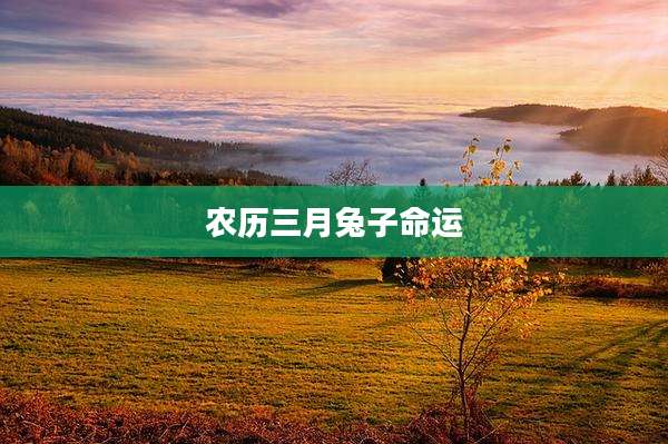 农历三月兔子命运