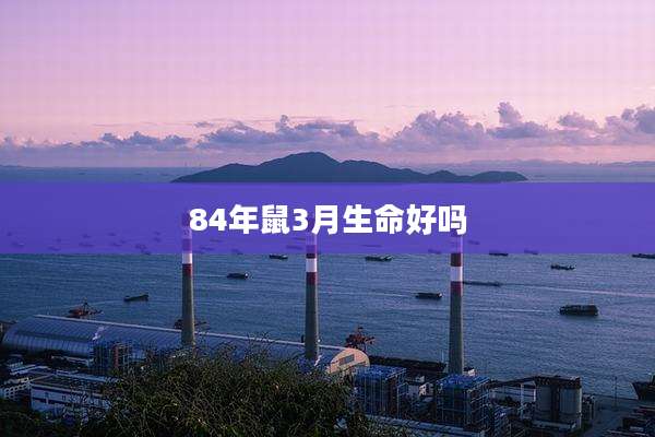 84年鼠3月生命好吗