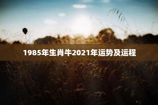 1985年生肖牛2021年运势及运程