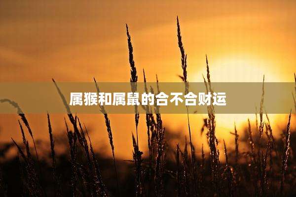 属猴和属鼠的合不合财运