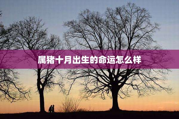 属猪十月出生的命运怎么样