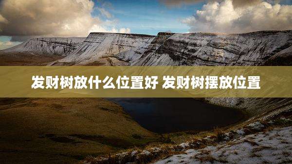 发财树放什么位置好 发财树摆放位置