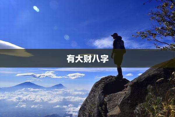 有大财八字