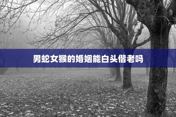 男蛇女猴的婚姻能白头偕老吗