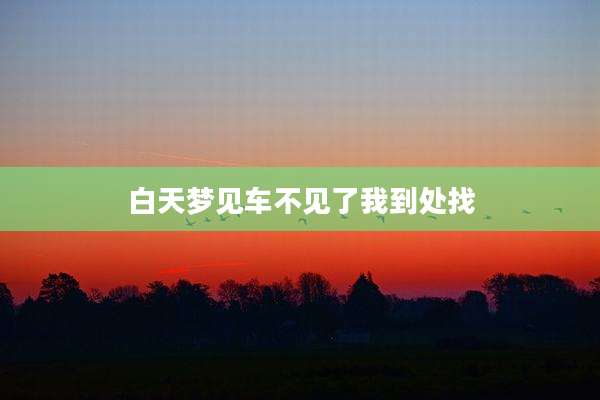 白天梦见车不见了我到处找