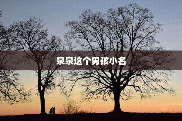 泉泉这个男孩小名
