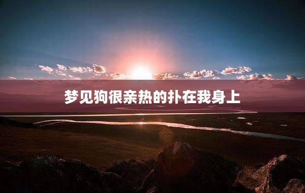 梦见狗很亲热的扑在我身上