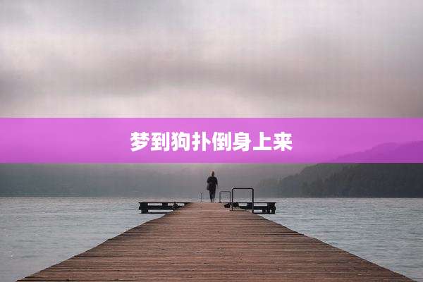 梦到狗扑倒身上来