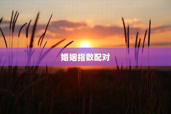 婚姻指数配对