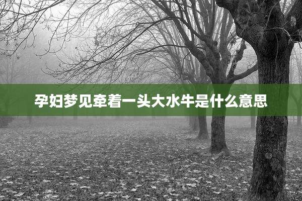 孕妇梦见牵着一头大水牛是什么意思