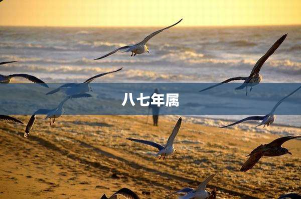 八七年属