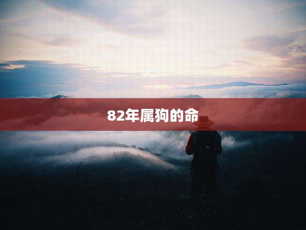 82年属狗的命