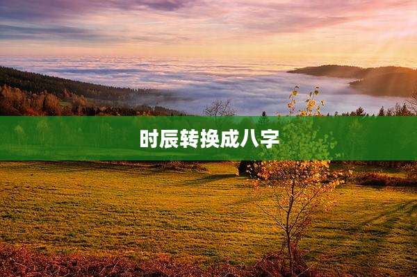 时辰转换成八字
