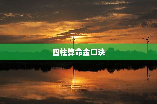 四柱算命金口诀