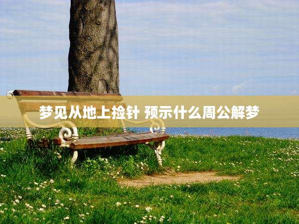 梦见从地上捡针 预示什么周公解梦