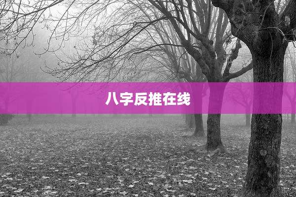 八字反推在线