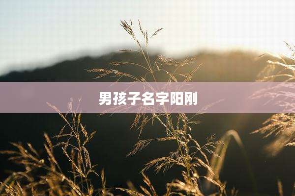 男孩子名字阳刚