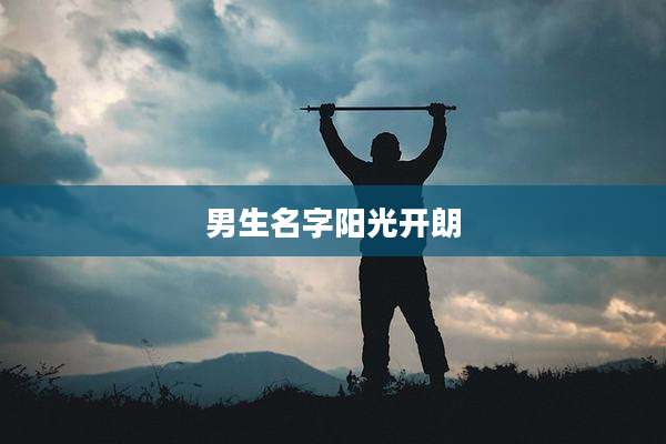 男生名字阳光开朗