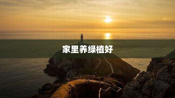 家里养绿植好