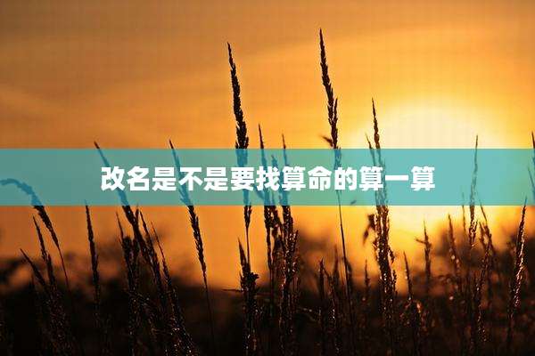 改名是不是要找算命的算一算