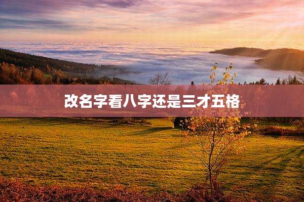 改名字看八字还是三才五格
