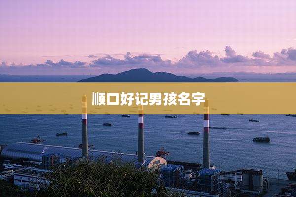 顺口好记男孩名字