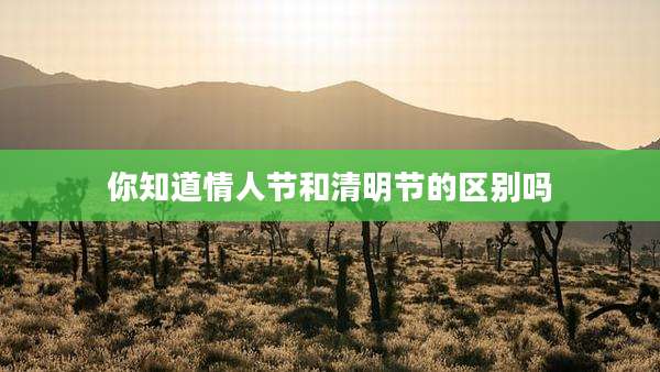 你知道情人节和清明节的区别吗
