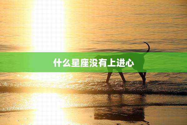 什么星座没有上进心