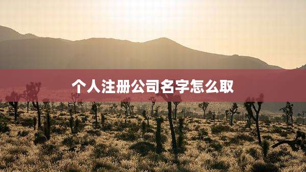 个人注册公司名字怎么取