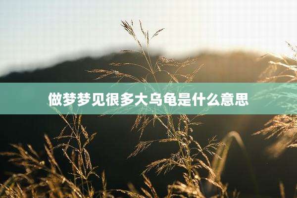 做梦梦见很多大乌龟是什么意思
