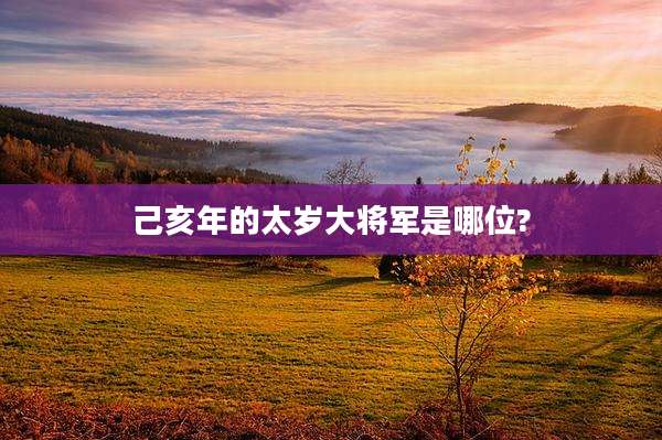 己亥年的太岁大将军是哪位?