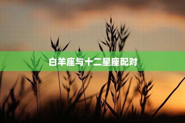 白羊座与十二星座配对