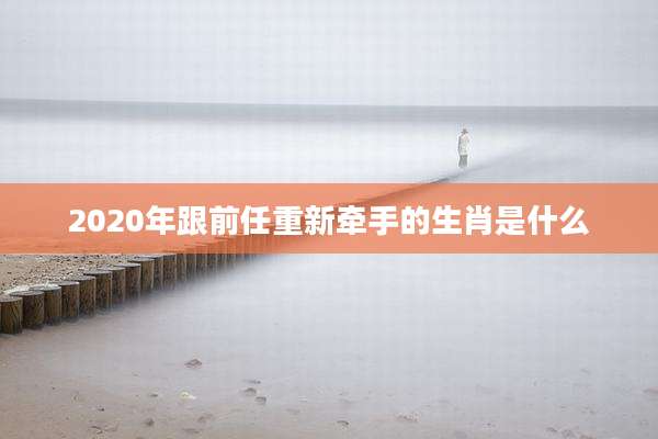 2020年跟前任重新牵手的生肖是什么
