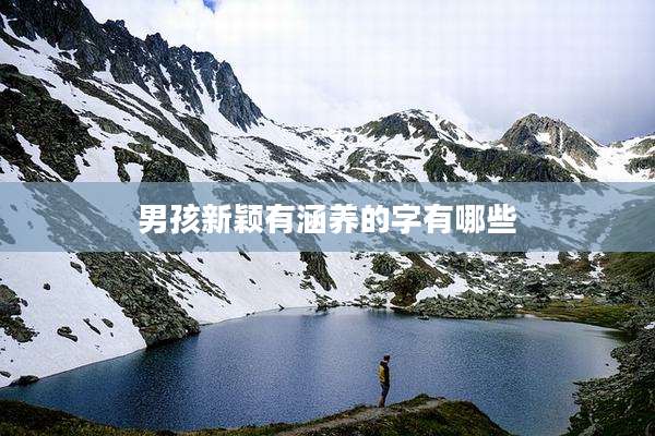 男孩新颖有涵养的字有哪些