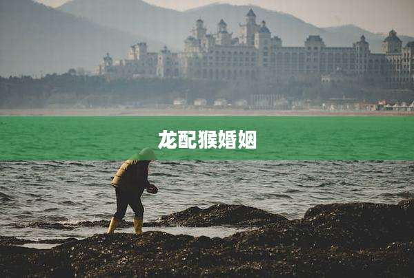 龙配猴婚姻