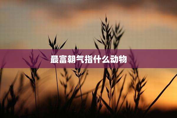最富朝气指什么动物