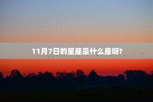 11月7日的星座是什么座呀?