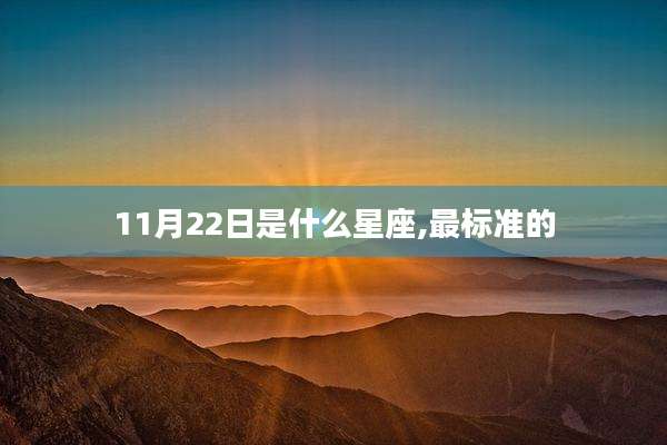 11月22日是什么星座,最标准的