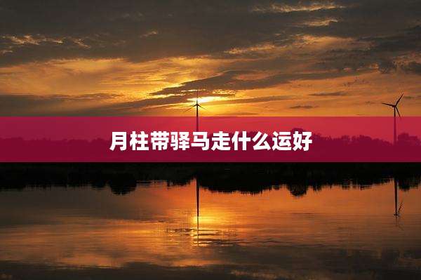 月柱带驿马走什么运好