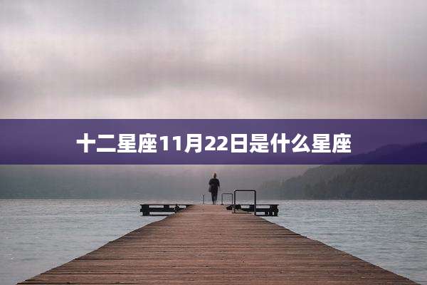 十二星座11月22日是什么星座