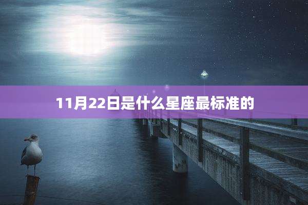 11月22日是什么星座最标准的