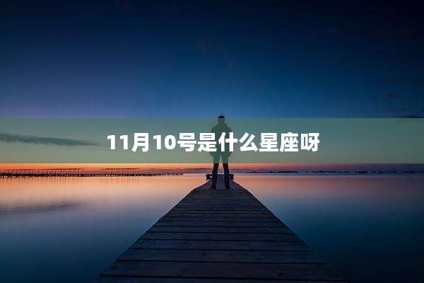 11月10号是什么星座呀