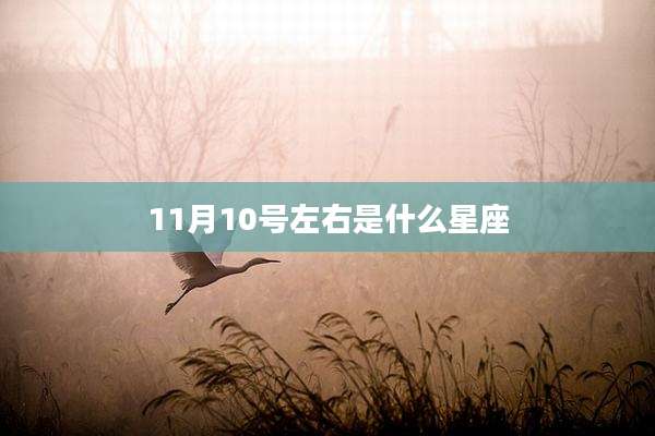 11月10号左右是什么星座