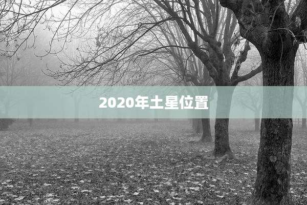 2020年土星位置