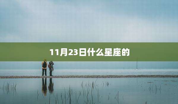 11月23日什么星座的