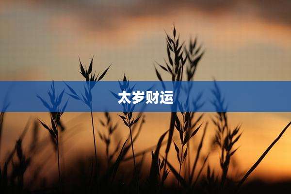 太岁财运