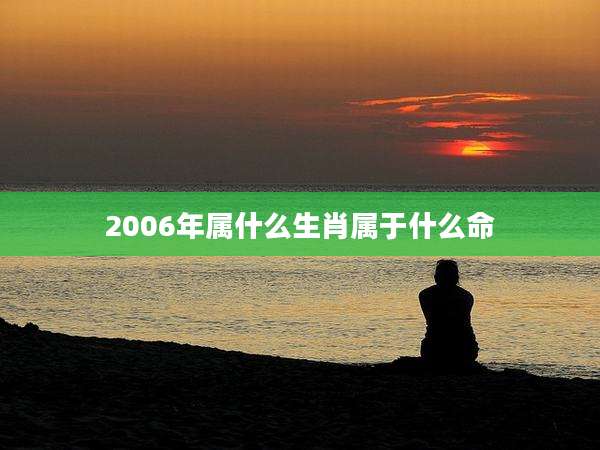 2006年属什么生肖属于什么命